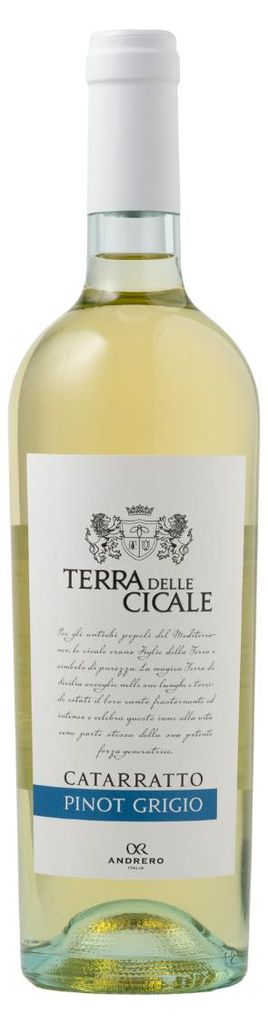 Vino bianco Terra delle Cicale Catarratto Pinot Grigio da Immagine del prodotto 