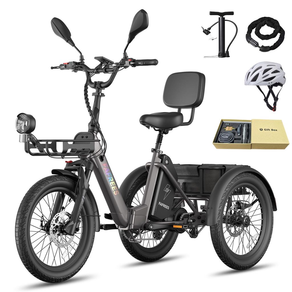 E Trike, Last bis 180 kg, Reichweite 100 km, 48 V 25 Ah Lithium Akku, Wasserdicht IPX5, sichere Hydraulikbremsen, Schwarz