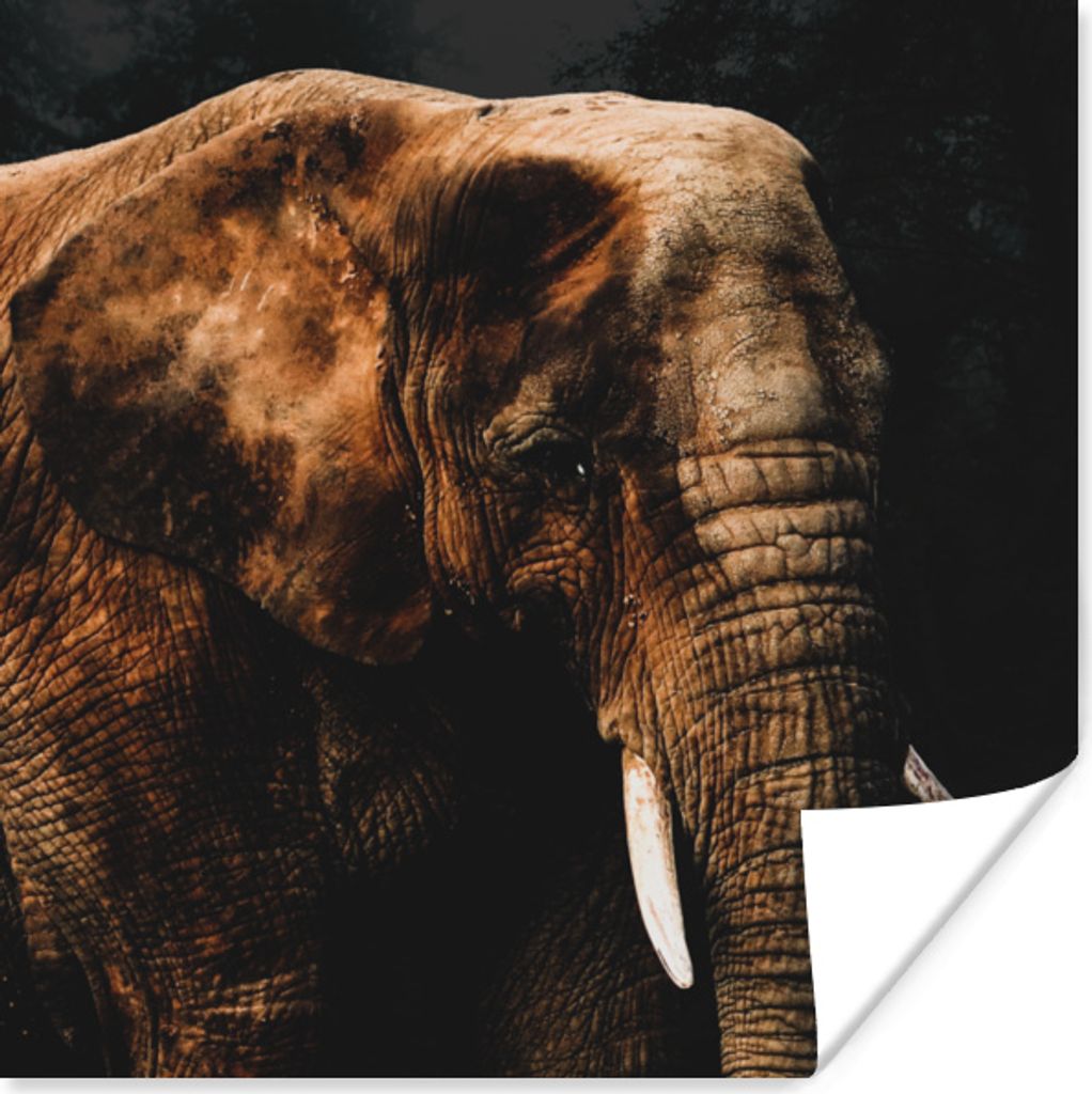 MuchoWow Poster Elefant - Tiere - Braun 75x75 cm - Wand Dekoration