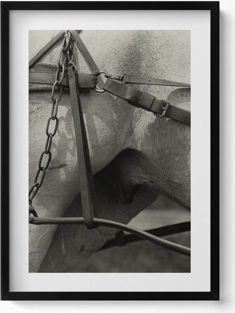 Nahaufnahme eines Pferdegeschirrs– Wandbild mit Rahmen – Gerahmtes Bild – Wanddekoration – 50x70 cm – Schwarz Rahmen