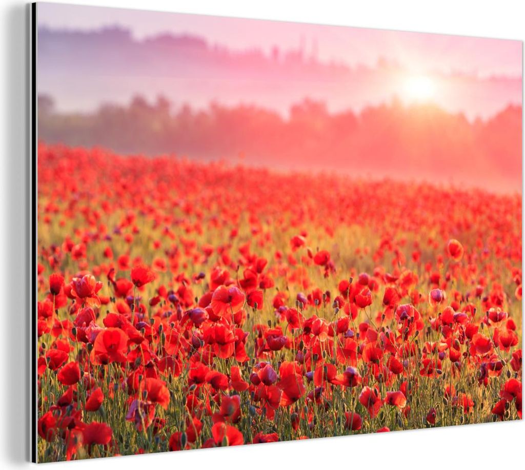 MuchoWow Wanddekoration Metall Metallbild Wandkunst 120x80 cm Blumen - Mohn - Rot - Blumenfeld MuchoWow Aluminium Gemälde - Alu Bild