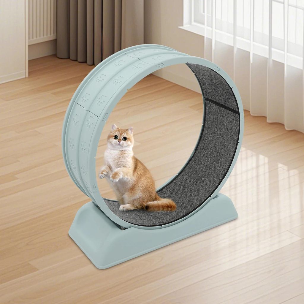 Katzenlaufrad - Katzen Laufband - Sehr Leise - Sicherheitsverschluss - Abnehmbarer Teppichbelag - Kunststoff - Blau