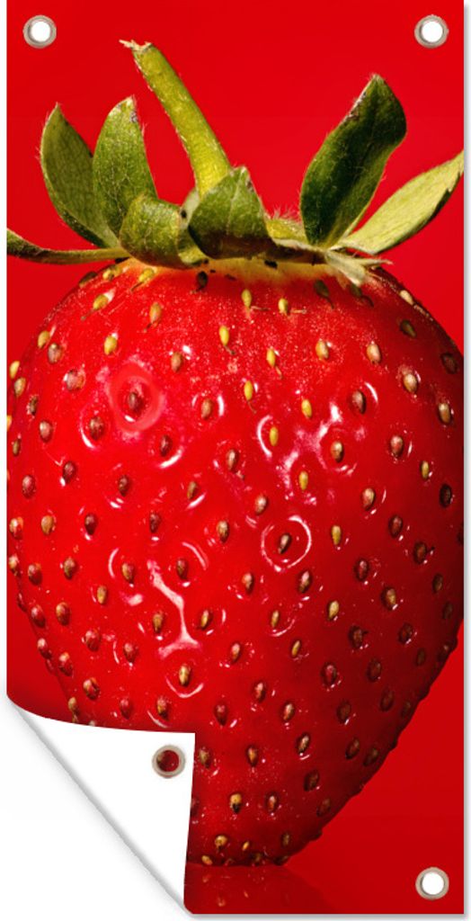 MuchoWow 80x160 cm Outdoor-Poster Gartendeko Sichtschutz Garten Poster für den Garten Erdbeere - Rot - Saatgut