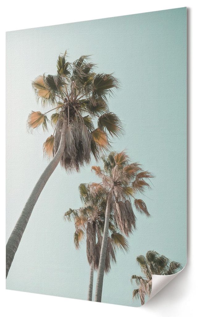 Tropische Palmen- Kunstdruck A1 (59x84 cm) - Minimalistisch, Modern- Wandbild für Wohnzimmer Schlafzimmer & Flur, Modernes Poster Wanddeko, Ungerahmt