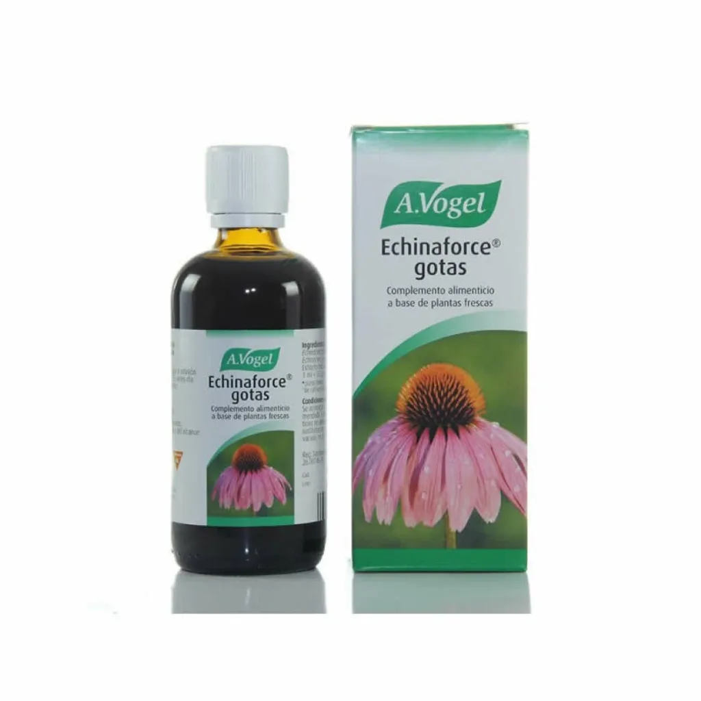 Soutenir son Immunité avec Echinaforce A. Vogel 100ml : Cure d'Hiver