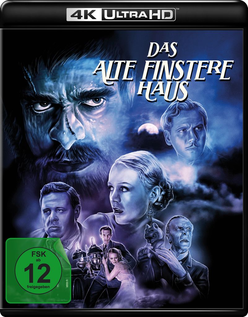 Das alte finstere Haus (Das Haus des Grauens)