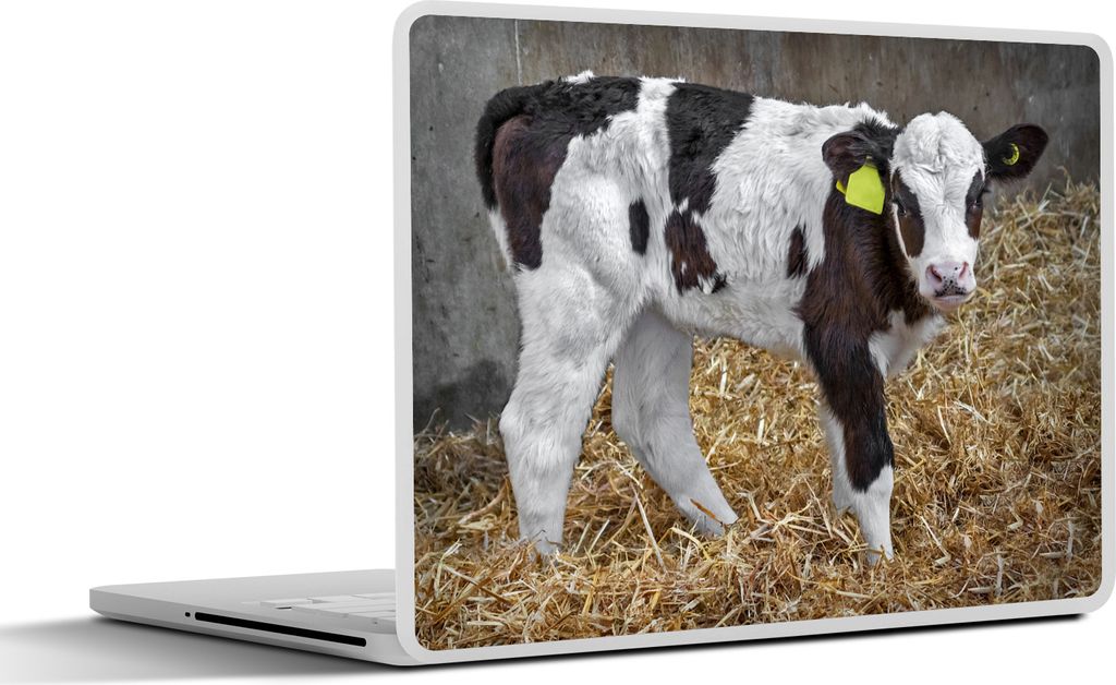 MuchoWow Laptop Aufkleber Sticker Cover Kuh - Stroh - Kalb - Tiere 30x21 cm - Sticker für Laptop - Selbstklebend