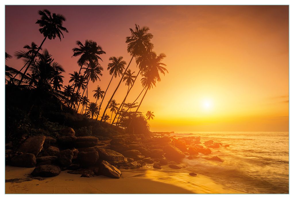Wallario Küchenrückwand aus Glas, Größe: 90 x 60 cm, Motiv: Kokospalmen am Abend - Sonnenuntergang in Sri Lanka | Spritzschutz | abwischbar | p...