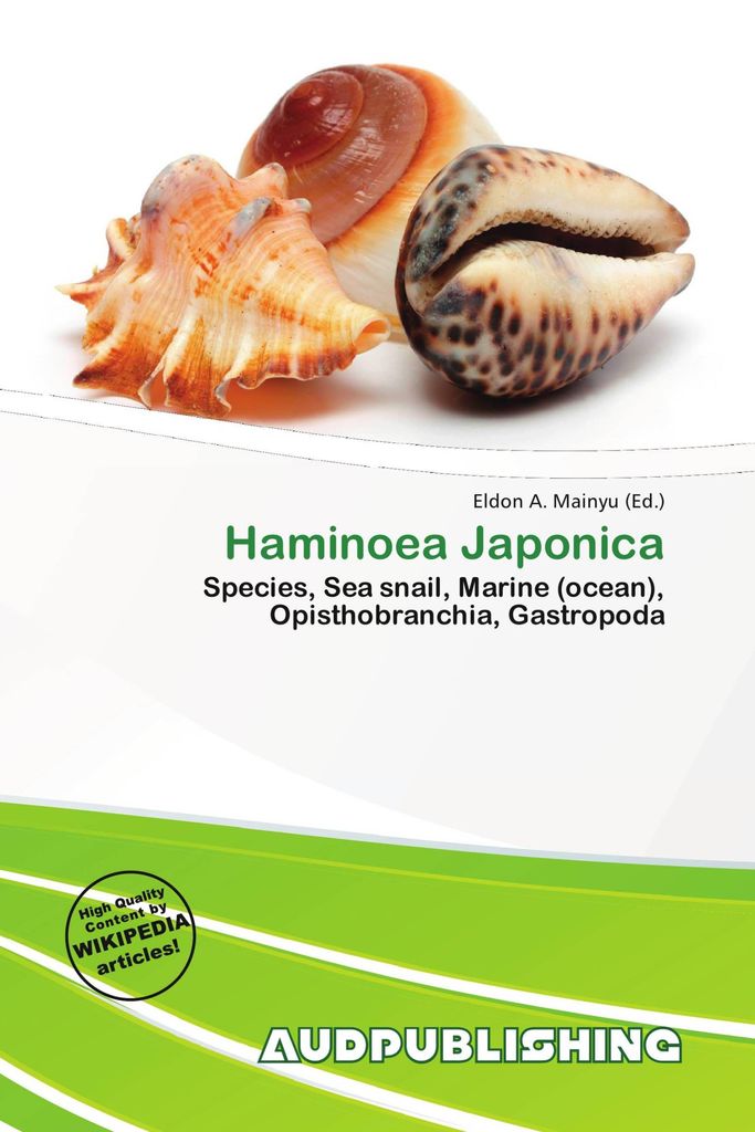 Haminoea Japonica