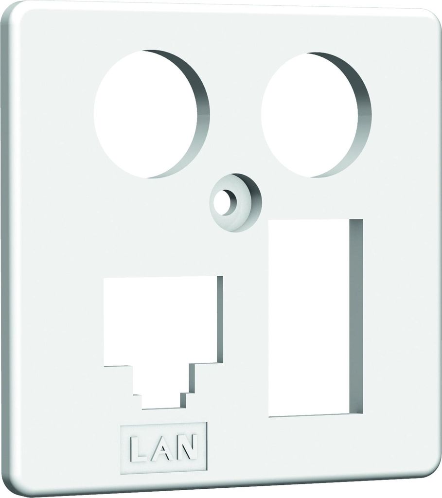 Homeway HW-ZP EK4 LAN/TAE Zentral. 50mm rws HAXHSE-G0401-C024