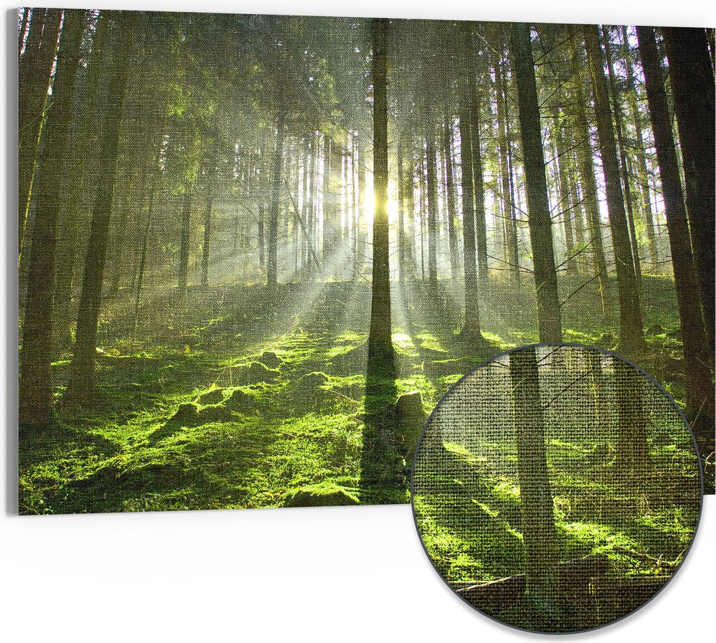 DEQORI Hybrid Leinwand Bild 90x60 cm 'Waldlichtspiele' Wandbild Glas flach modern