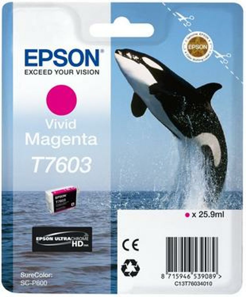 Seagate STJL4000400, Seagate Basic, externe harde schijf, 4 Productafbeelding 