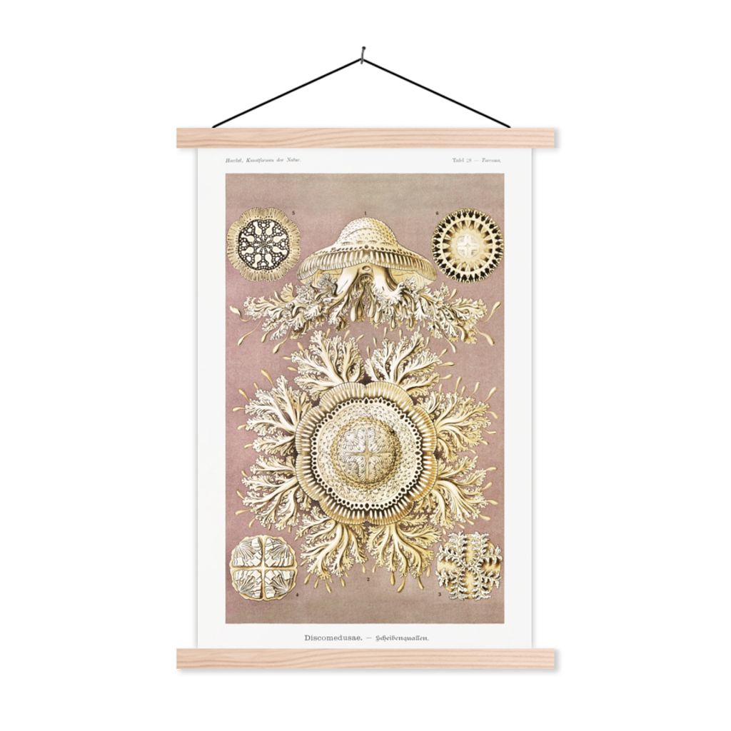 MuchoWow Textilposter Jahrgang - Ernst Haeckel - Qualle - Kunst 60x90 cm mit holzfarbenen Rahmen - Textil