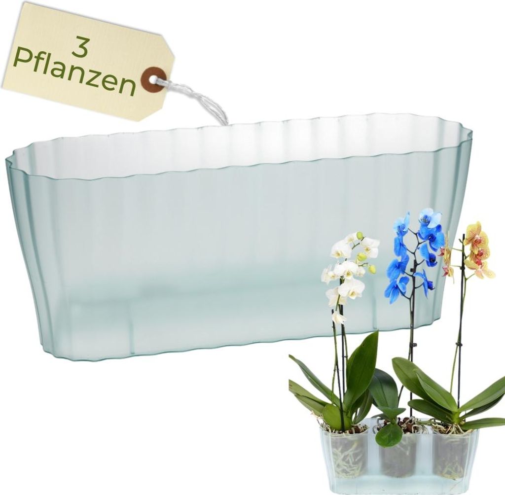 Orchideentopf Transparent Länglicher Orchideenkasten Produktbild 