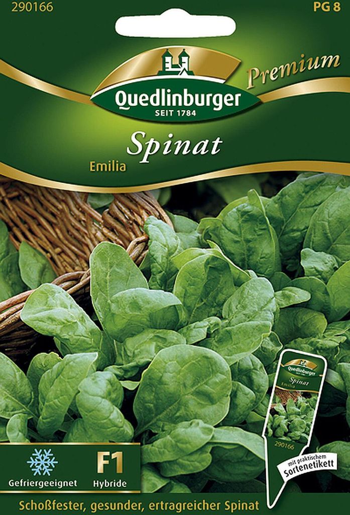 Quedlinburger Spinat Emilia F1-Hybride - Premium Produktbild 