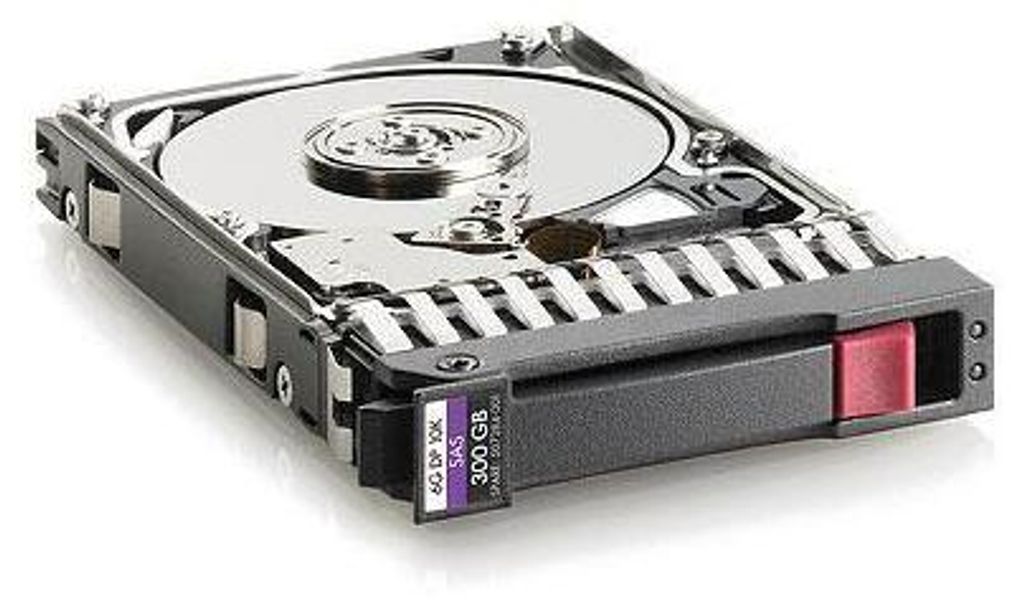 Hewlett Packard Enterprise 300 Gb SAS 10.000Rpm 2.5" (W125833984)