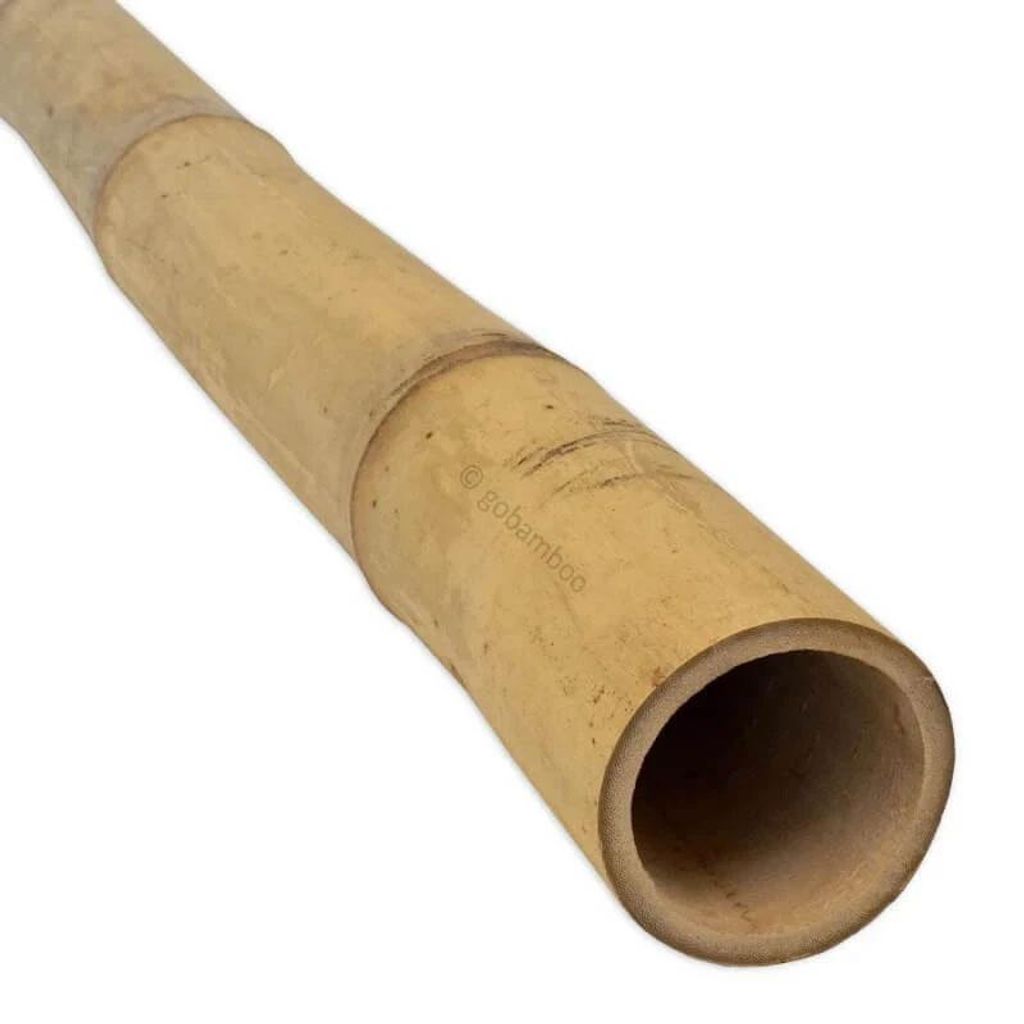 Bambus Guadua tyč Ø 5-7 cm  3m Obrázek produktu 