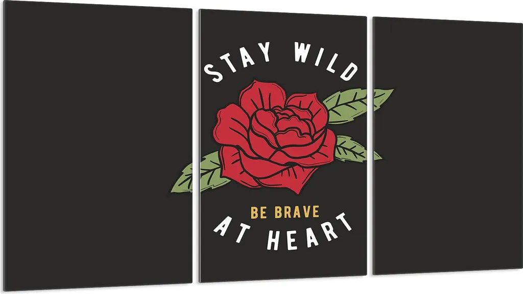 Piastre Copripiano Induzione 3 Pezzi 30x52 Vetro Nero Rosa Qualità