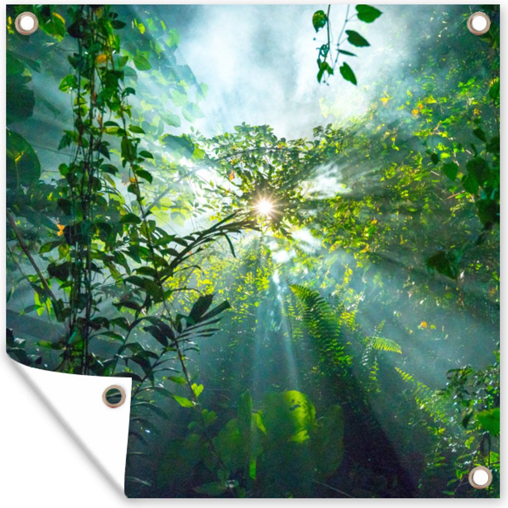 MuchoWow 50x50 cm Outdoor-Poster Gartendeko Sichtschutz Garten Poster für den Garten Die Sonne scheint durch die Wälder eines Regenwaldes in M...