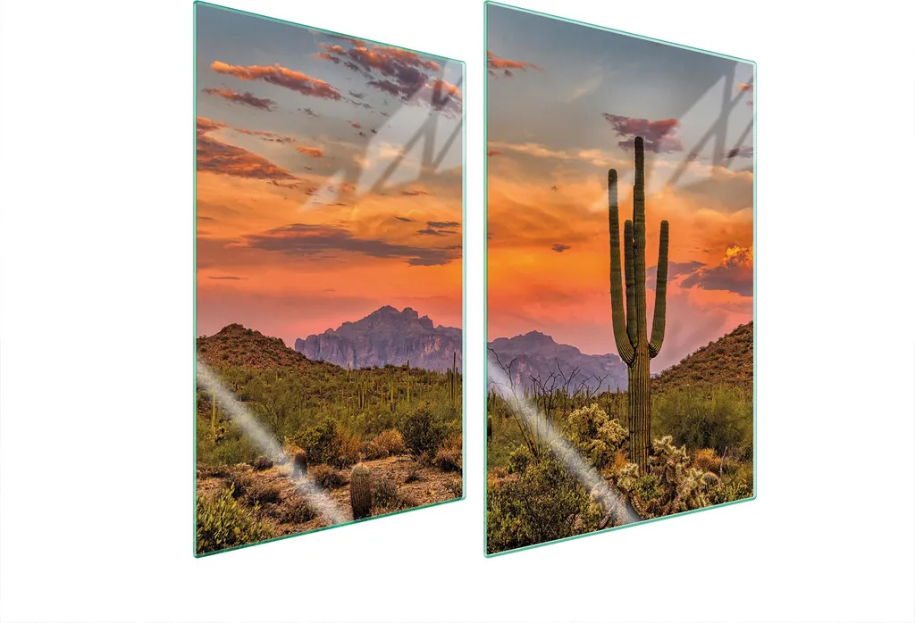 Protezione Piano Cottura Vetro 35x52 Cactus Coprifornelli Universali