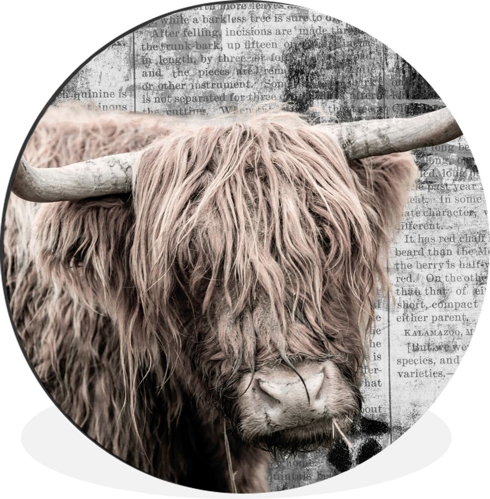 MuchoWow Aluminium Wandkreis Schottischer Highlander - Zeitung - Retro Ø 30 cm Wanddeko Modern Wohnzimmer - Wand Bild - Wohnzimmer - Runde Bilde...