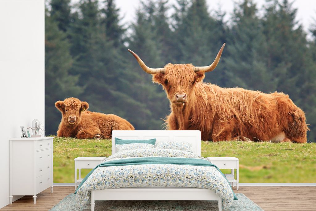 MuchoWow Fototapete für Wohnzimmer oder Schlafzimmer Wandtapete Vinyl Motivtapete Schottische Highlander - Gras - Wald - 420x280 cm - Zimmer fü...