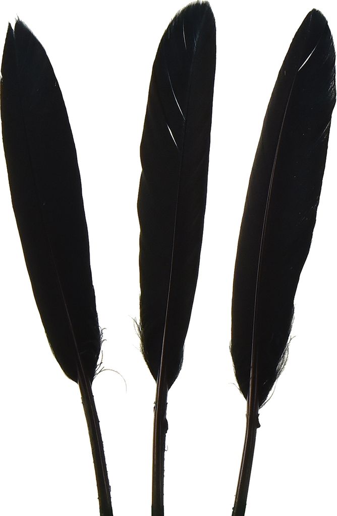 Schwarze Federn Deko Gänsefedern Schwarz 11-14cm 180 St – Osterdeko, Basteln, Traumfänger
