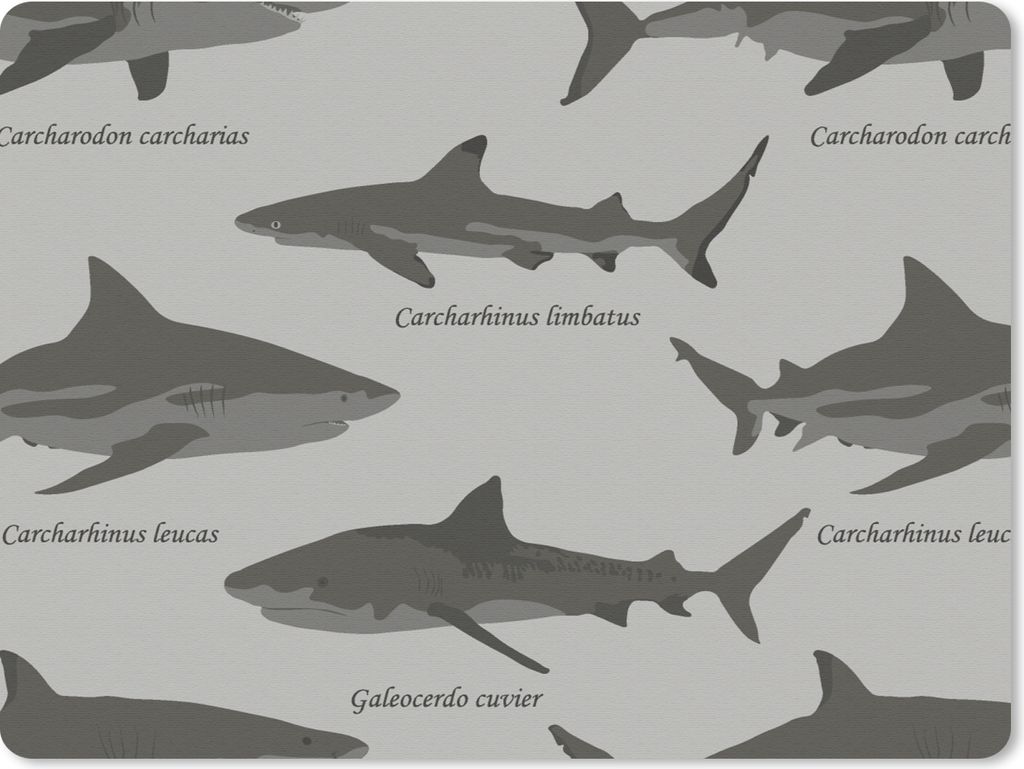 MuchoWow Mauspad Mousepad Muster - Hai - Meer 40x30 cm - Mousepads - Maus Mat - Pad - Mausunterlage - Anti Rutsch