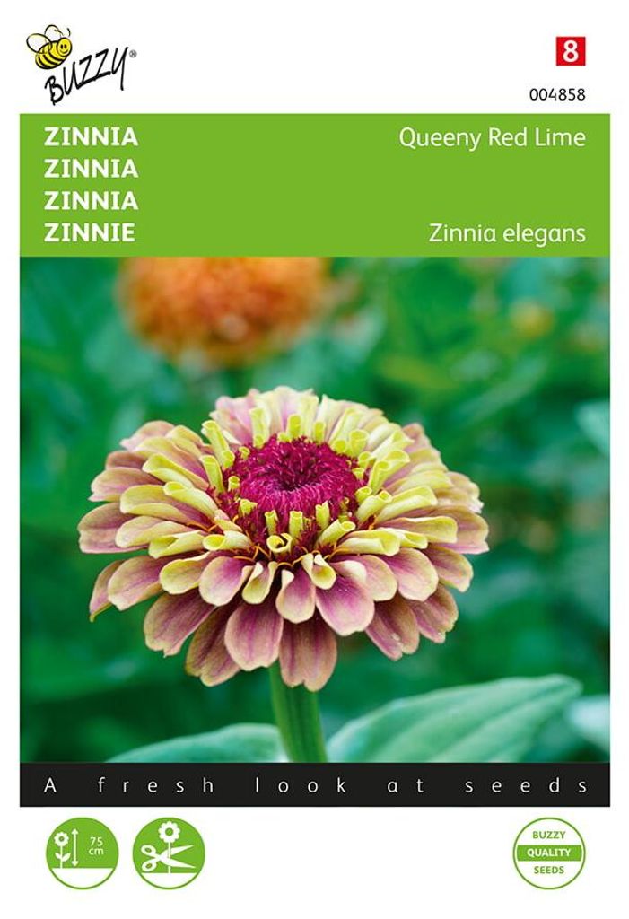 Zinnie Queeny Lime Red | Zinniensamen von Buzzy Seeds