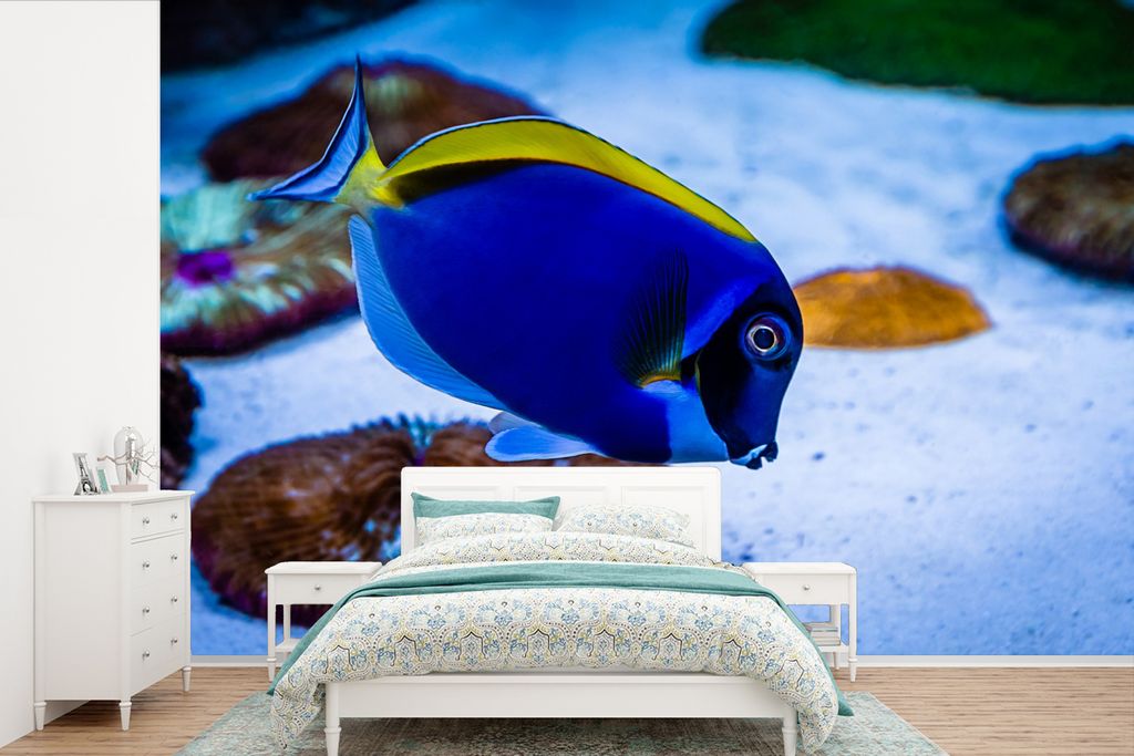 MuchoWow Fototapete für Wohnzimmer oder Schlafzimmer Wandtapete Vinyl Motivtapete Fische - Tropisch - Bodengrund - 420x280 cm - Zimmer für Kinder