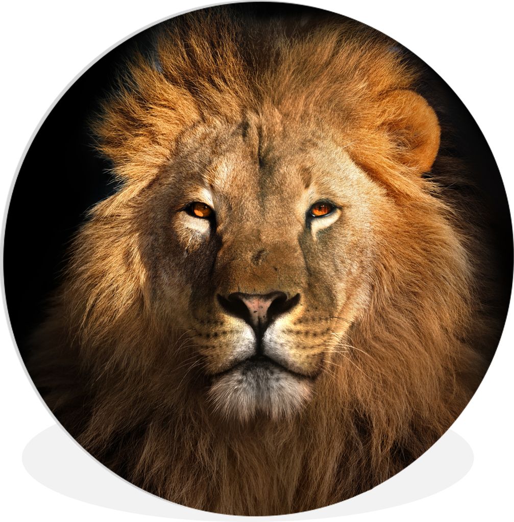 MuchoWow Rundes Wandbild - Runde Bilder Löwe - Tiere - Schwarz - Hell - Braun - Porträt Ø 90 cm Kreis Wanddekoration Kunststoff - Wandkreis - ...