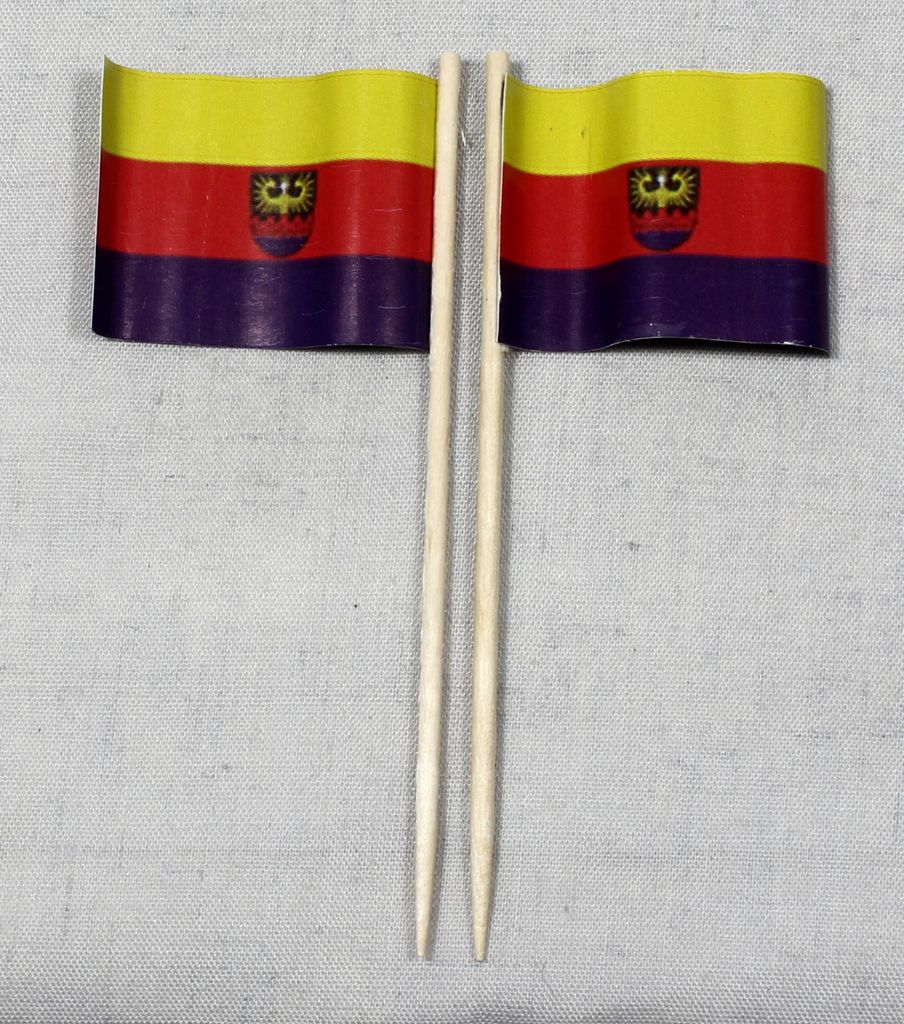 Party-Picker Flagge Emden Papierfähnchen in Spitzenqualität 25 Stück Beutel