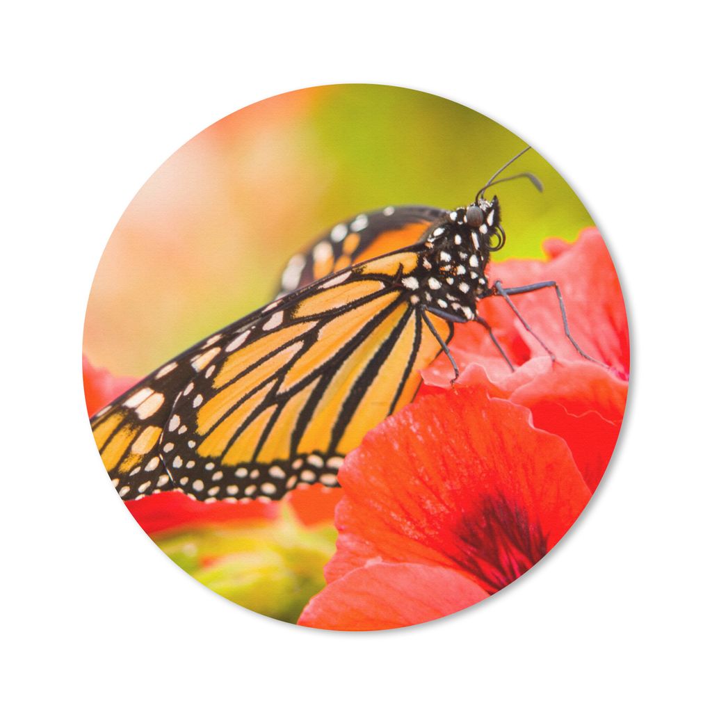 MuchoWow Mauspad Mousepad Blumen - Schmetterlinge - Monarch 30x30 cm - Mousepads - Maus Mat - Pad - Mausunterlage - Tischunterlage - Schreibtisch...