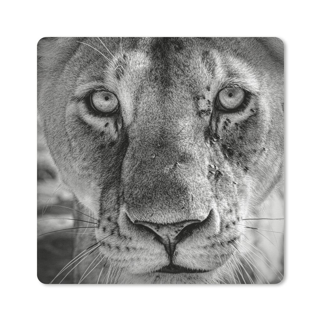 MuchoWow Mauspad Mousepad Tierprofil Löwin in schwarz und weiß 20x20 cm - Mousepads - Maus Mat - Pad - Mausunterlage - Desk Mat - Bureauartikeln