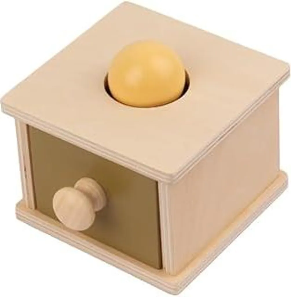 INCREDIBILE Cassetta Montessori Pallina - Il Gioco Top per 1 Anno!