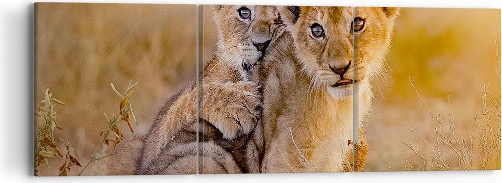Bild auf Leinwand - Leinwandbild - Löwe Natur Tier - 90x30cm - Wand Bild - Wanddeko - Wandbilder - Leinwanddruck - Bilder - Kunstdruck - Wanddekor...