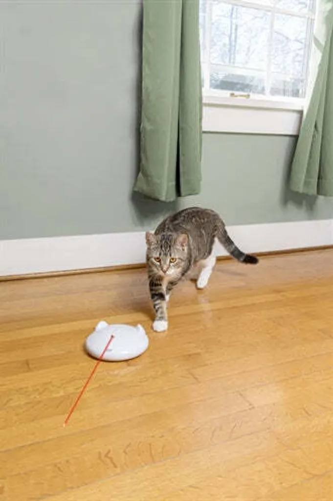 PetSafe ZIP: Il Robot Laser che salva i tuoi mobili dai graffi - 11
