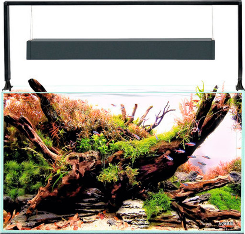 Acquario AQUAEL UltraScape 60 con illuminazione a LED, Immagine del prodotto 