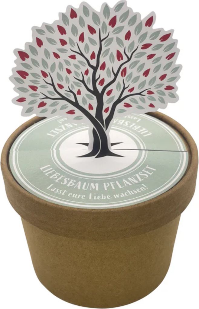 Wunderle 41789, Überraschungsbeutel, Mehrfarbig, andere, 1 Stück(e), 98 mm, 70 mm