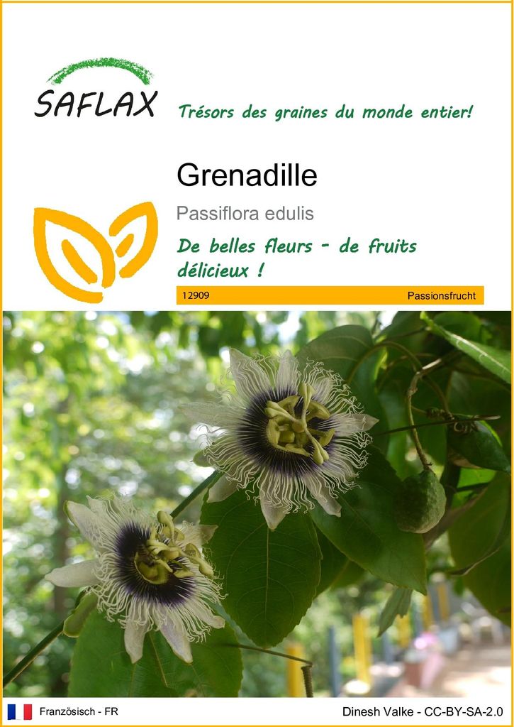 SAFLAX  - Grenadille - 40 graines - Passiflora Image du produit 