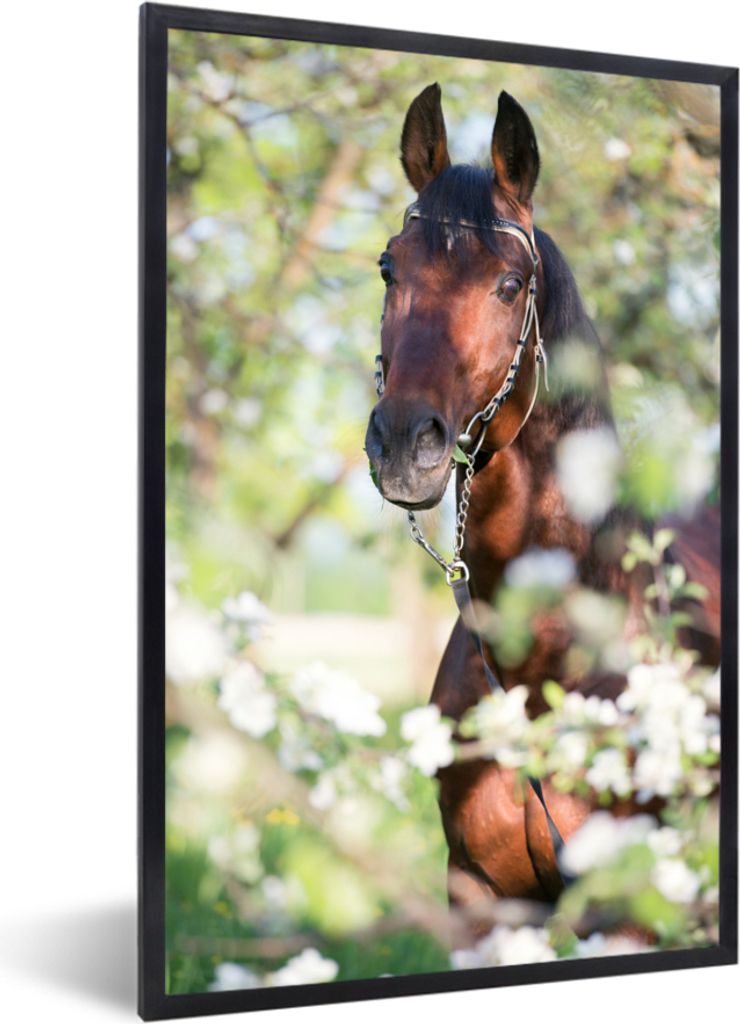 MuchoWow MuchoWow Gerahmtes Poster Pferde - Blüte - Frühling - Tiere 40x60 cm - Poster mit zchwarzem Bilderrahmen - Papierdruck - Wandbilder