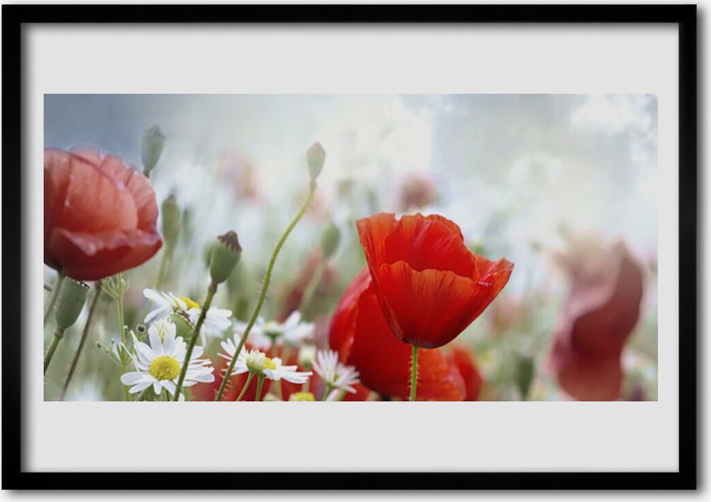 Bild 70x50 MDF-Rahmen Wandkunst Blumen Blütenblätter Pflanze