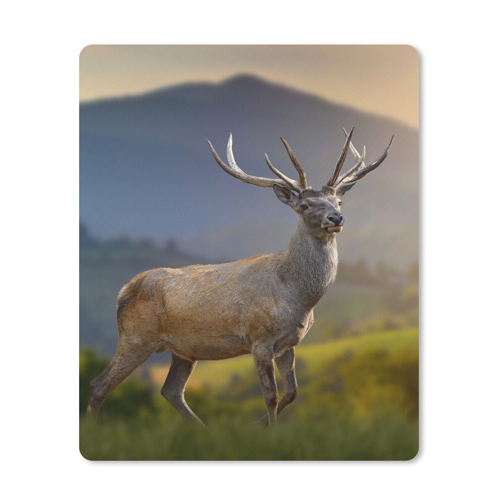 MuchoWow Mauspad Mousepad Hirsche - Berg - Gras - Sonnenuntergang - Tiere - Natur 19x23 cm - Mousepads - Maus Mat - Pad - Mausunterlage - Mauspad...