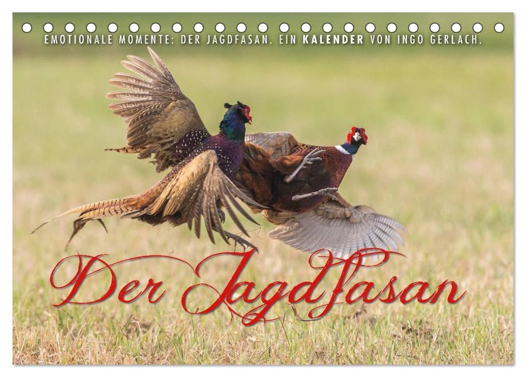 Emotionale Momente: Der Jagdfasan. (Tischkalender 2027 DIN A5 quer), CALVENDO Monatskalender