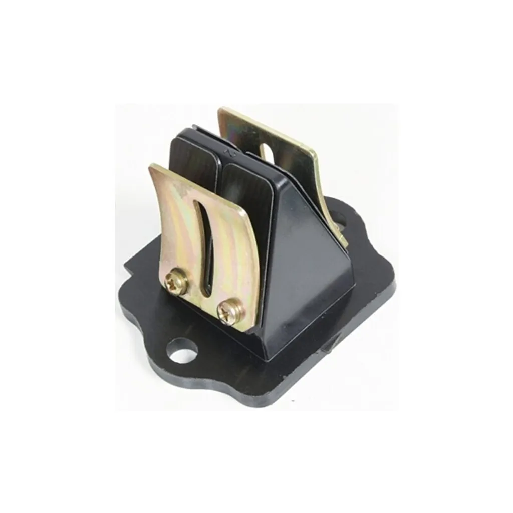 Membrane admission haute performance pour Piaggio Zip Sfera Free USW - 2