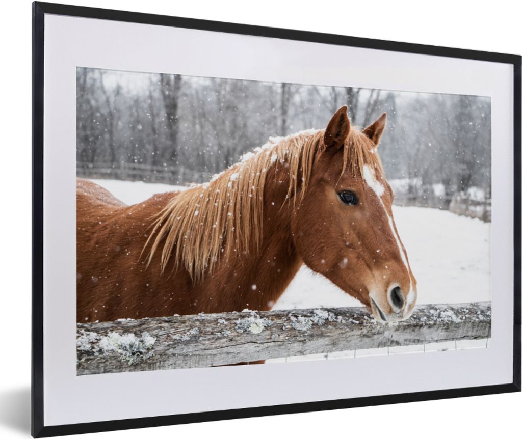 MuchoWow MuchoWow Gerahmtes Poster Pferd - Schneeflocke - Zaun - Winter 60x40 cm - Poster mit zchwarzem Bilderrahmen - Schlafzimmer - Plakat in...