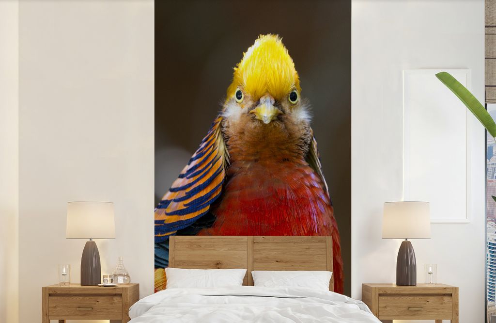 MuchoWow Fototapete für Wohnzimmer oder Schlafzimmer Wandtapete Vinyl Motivtapete Fasan - Gold - Tiere - 120x240 cm - Hintergrundbild