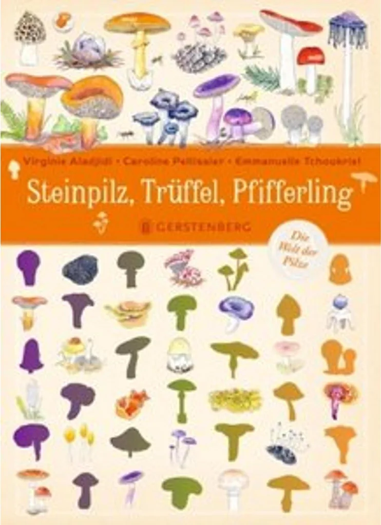 Cèpes, truffes et girolles séchés : assortiment de champignons premium