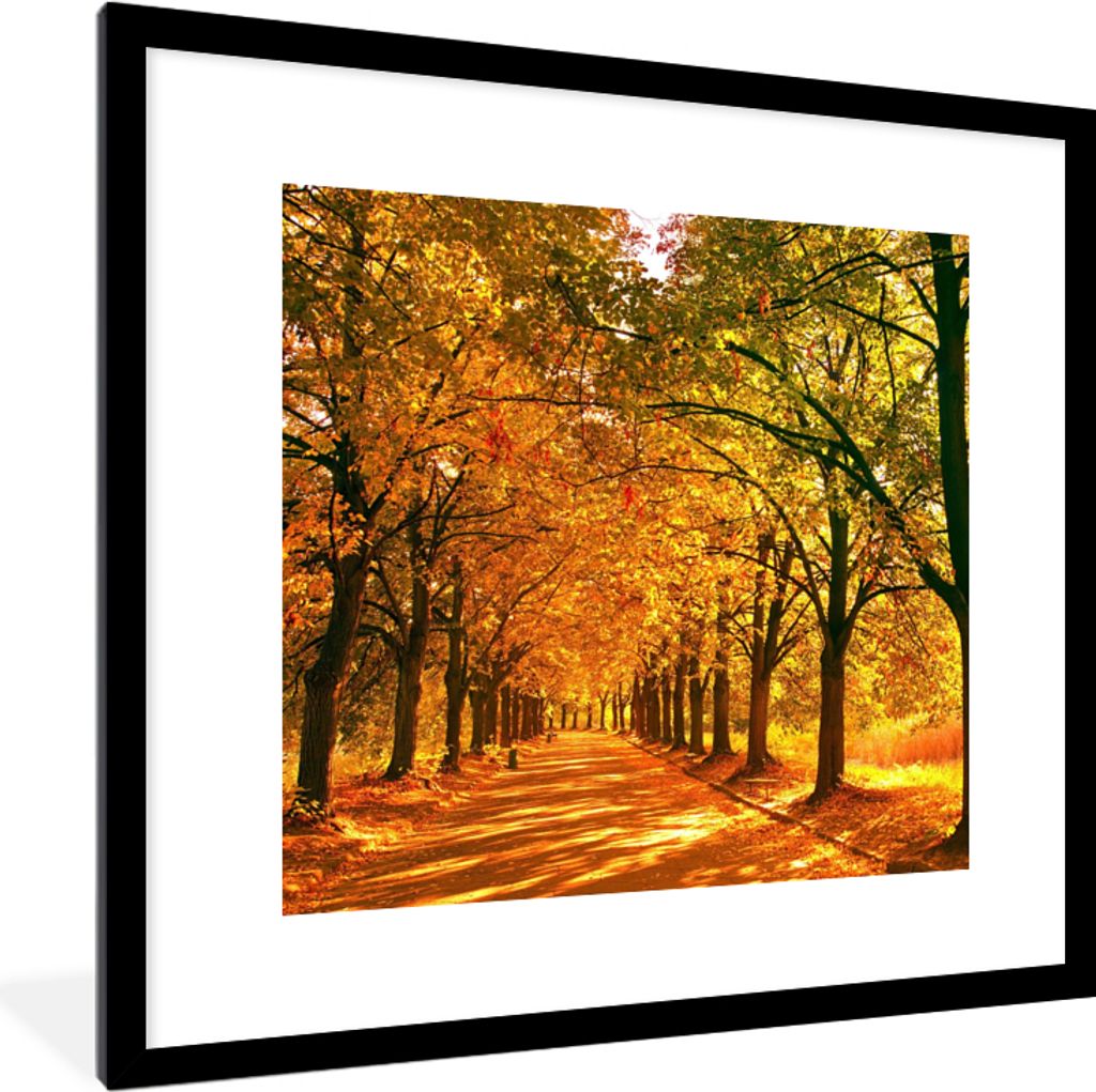 MuchoWow® Gerahmtes Poster Wald - Herbst - Jahreszeiten - Produktbild 