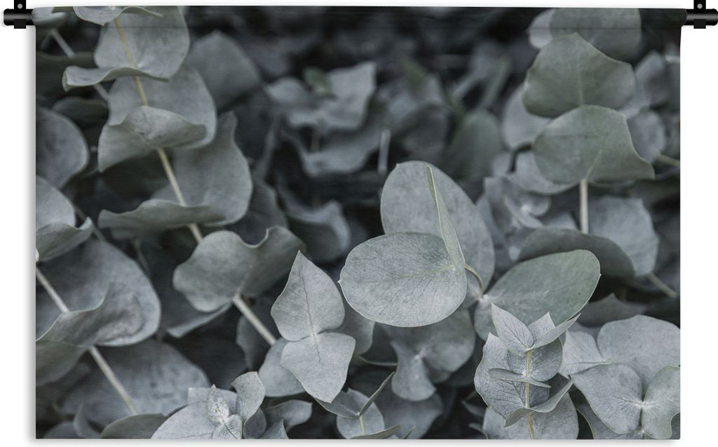MuchoWow Wandteppich Wandbehang Natur - Pflanzen - Eukalyptus - Blätter 150x100 cm Tapisserie Dekoration Wandtuch - Waschbar - Tapisserien - Wan...